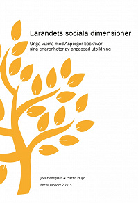 Omslagsbild för Lärandets sociala dimensioner