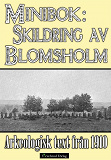 Cover for Minibok: Skildring av Blomsholms fornminnen år 1910