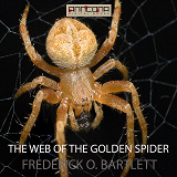 Omslagsbild för The Web of the Golden Spider