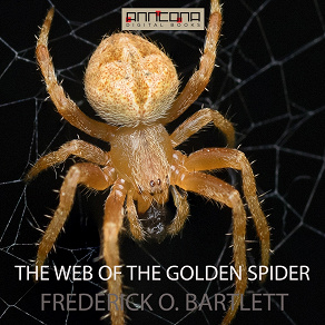 Omslagsbild för The Web of the Golden Spider