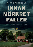 Omslagsbild för Innan mörkret faller