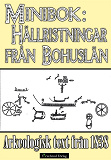 Omslagsbild för Hällristningar från Bohuslän uti Sverige – minibok med historisk text från 1838