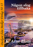 Cover for Någon slog tillbaka