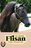 Cover for Flisan 1 - Flisans osynliga häst