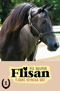 Omslagsbild för Flisan 1 - Flisans osynliga häst