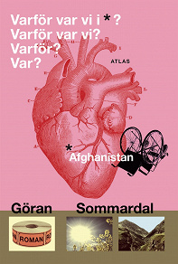 Omslagsbild för Varför var vi i Afghanistan?