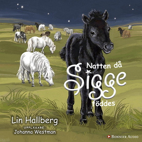 Cover for Natten då Sigge föddes