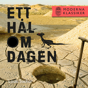 Cover for Ett hål om dagen