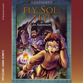 Cover for Fly Sol, fly!