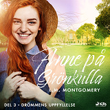 Cover for Drömmens uppfyllelse