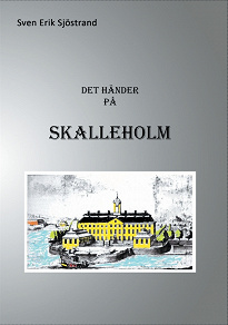 Omslagsbild för Det händer på Skalleholm