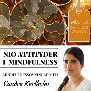 Omslagsbild för SAMLINGSUTGÅVA: Nio attityder i mindfulness av Candra Karlholm