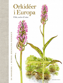 Cover for Orkidéer i Europa : vilda, vackra & väna