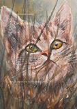 Omslagsbild för Älskade katt: Text och akvareller av Gunilla Nordell-Sjöberg