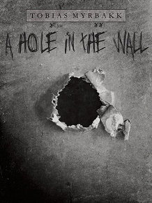 Omslagsbild för A hole in the wall