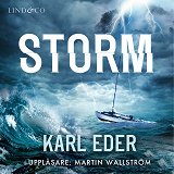 Omslagsbild för Storm