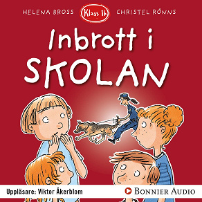 Cover for Inbrott i skolan
