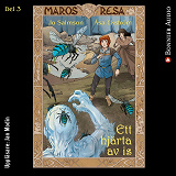Cover for Ett hjärta av is