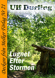 Cover for Lugnet efter stormen