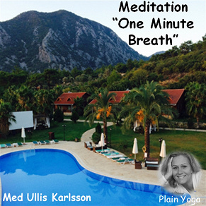 Omslagsbild för Meditation One Minute Breath 
