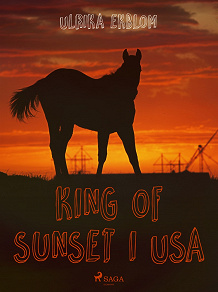 Omslagsbild för King of Sunset i USA