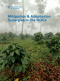 Omslagsbild för Mitigation & Adaptation Synergies in the NDCs