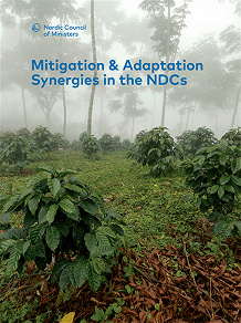 Omslagsbild för Mitigation & Adaptation Synergies in the NDCs