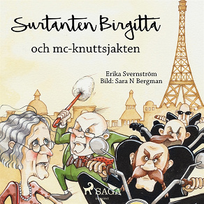 Omslagsbild för Surtanten Birgitta och mc-knuttsjakten