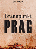 Cover for Brännpunkt Prag: en reportageroman