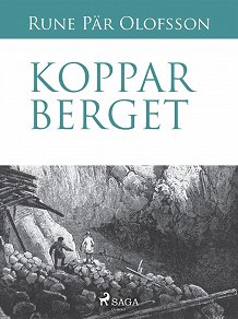 Omslagsbild för Kopparberget