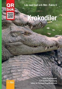 Omslagsbild för Krokodiler - Fakta C