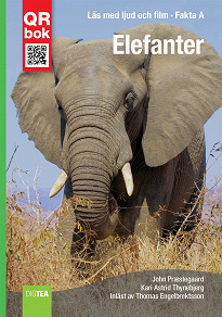 Omslagsbild för Elefanter - Fakta A