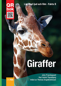 Omslagsbild för Giraffer - Fakta A