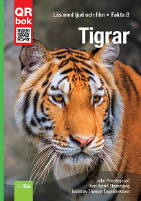 Omslagsbild för Tigrar - Fakta B