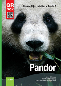 Omslagsbild för Pandor - Fakta B