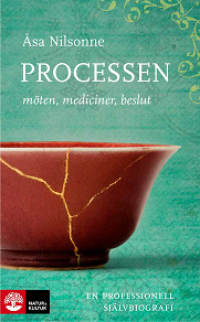 Omslagsbild för Processen : Möten, mediciner, beslut