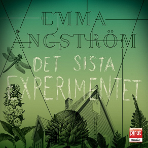 Cover for Det sista experimentet