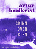 Omslagsbild för Skinn över sten