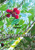 Omslagsbild för Karavaanari
