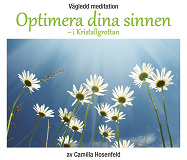 Omslagsbild för Vägledd meditation: Optimera dina sinnen