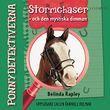 Cover for Ponnydetektiverna. Stormchaser - och den mystiska dimman