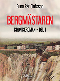 Omslagsbild för Bergmästaren : krönikeroman, del 1