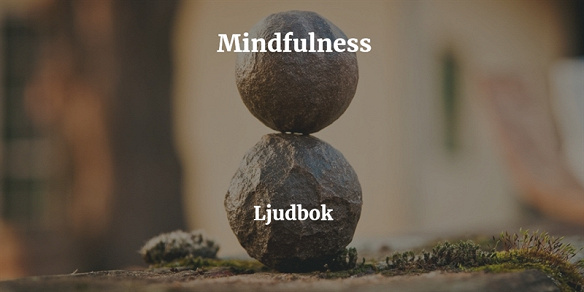 Omslagsbild för Mindfulness Meditation – Meditera bort din stress