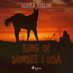 Cover for King of Sunset i USA