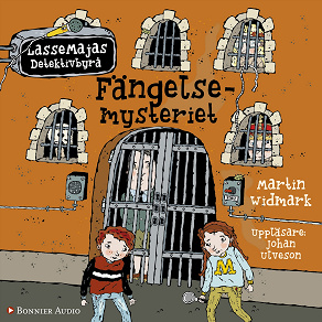 Cover for Fängelsemysteriet
