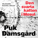 Cover for Den svarta katten i Mosul