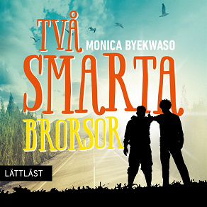 Cover for Två smarta brorsor / Lättläst