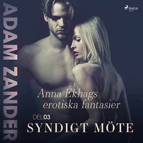 Cover for Syndigt möte – Anna Ekhags erotiska fantasier del 3