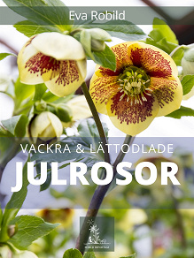 Omslagsbild för Julrosor - vackra och lättodlade