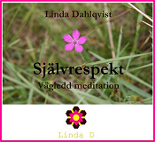 Omslagsbild för Självrespekt - vägledd meditation